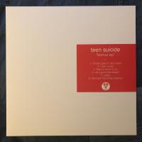Виниловая пластинка TEEN SUICIDE / BONUS EP (1LP)